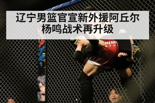 辽宁男篮官宣新外援阿丘尔 杨鸣战术再升级